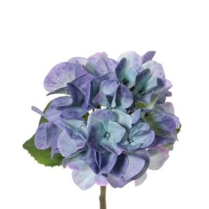 Hortensia blauw 33 cm