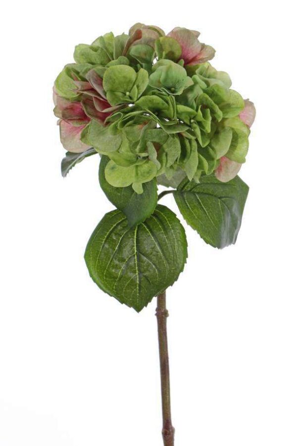 Hortensia groen 60 cm