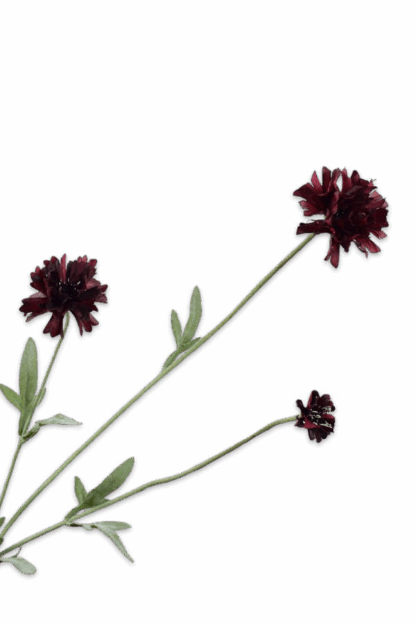 Korenbloem tak bordeaux paars 65 cm Silk-ka