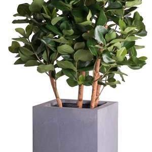 Plantenbak Michaela grijs hoogte 80 cm VTW