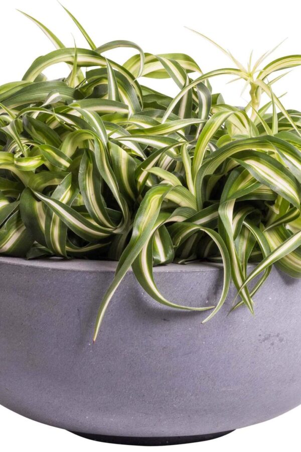 Bloempot / schaal duko beton mat grijs set van 2 stuks VTW