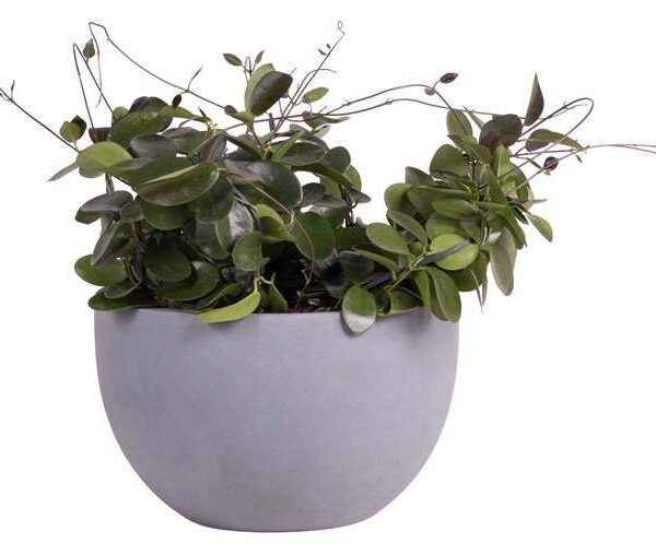 Bloempot schaal Louise grijs doorsnede 45 cm VTW