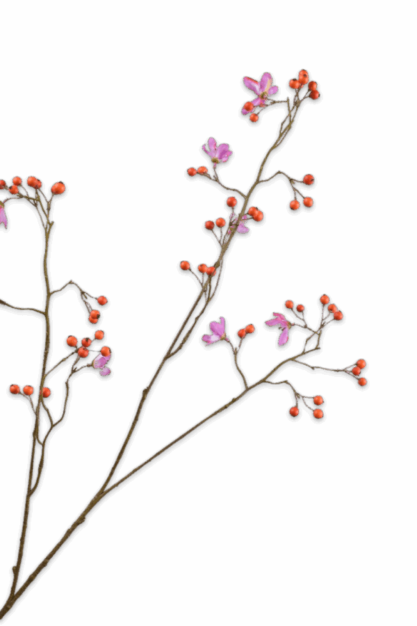 Silk ka bessentak oranje roze 92 cm