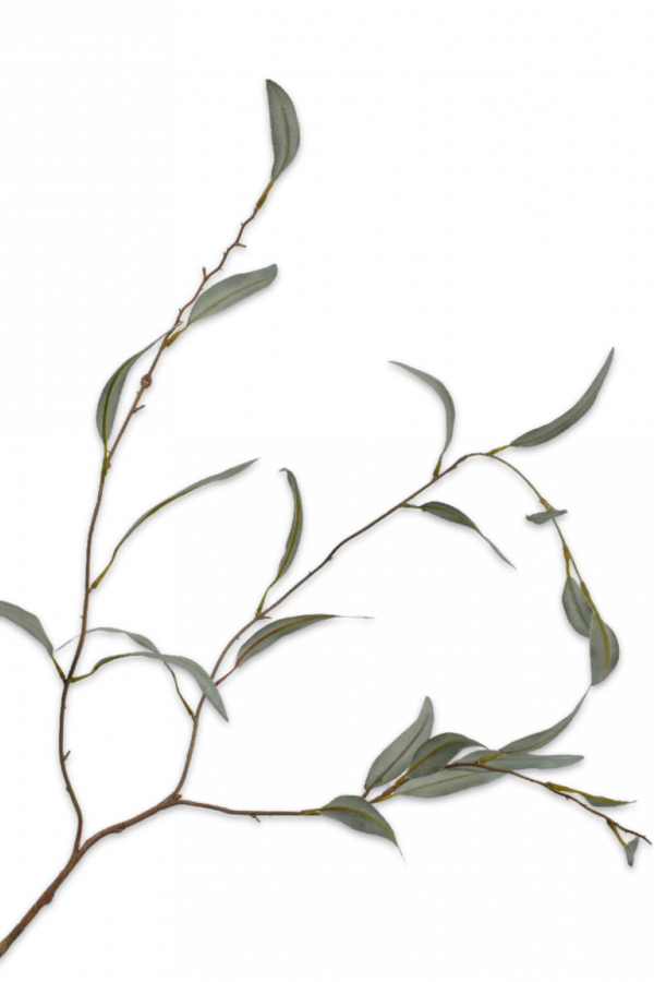 Eucalyptus tak groen 96 cm Silk-ka