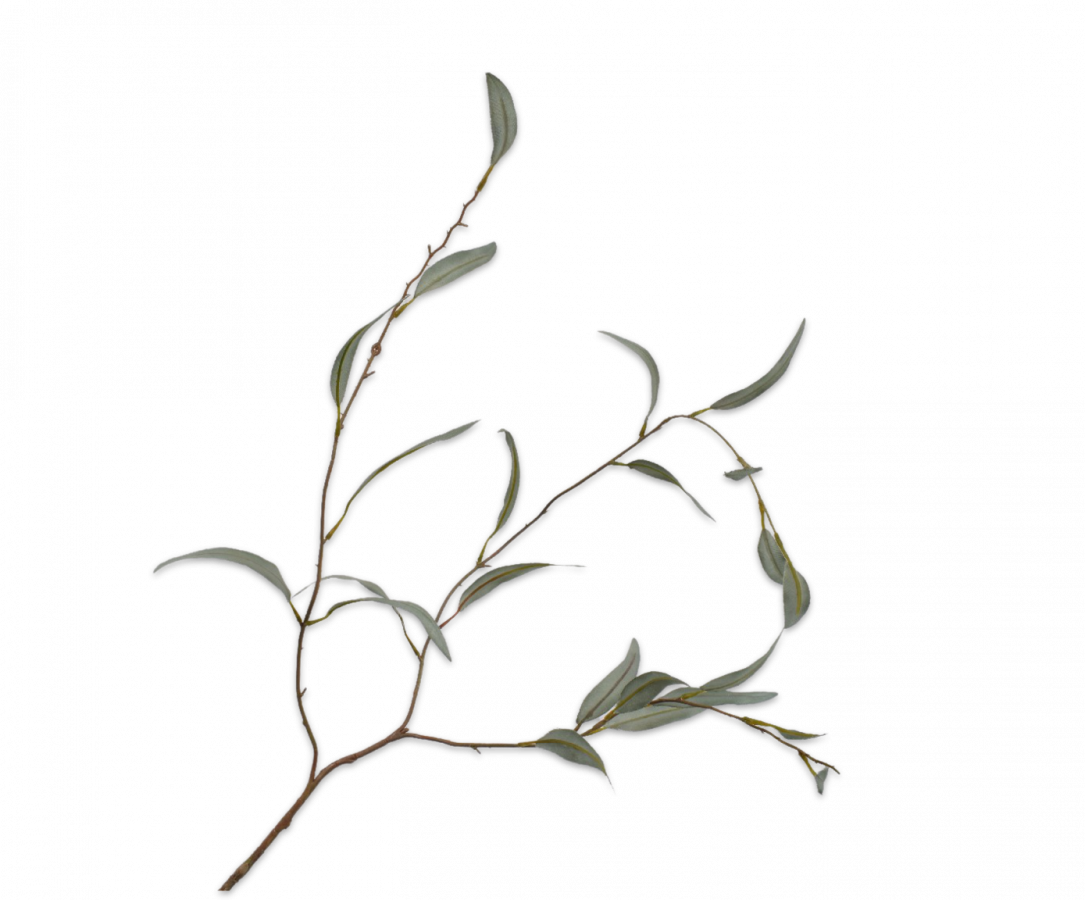 Eucalyptus tak groen 96 cm Silk-ka