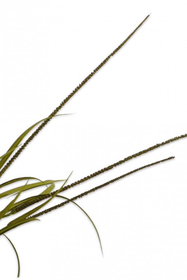 Gras tak 135 cm Silk-ka