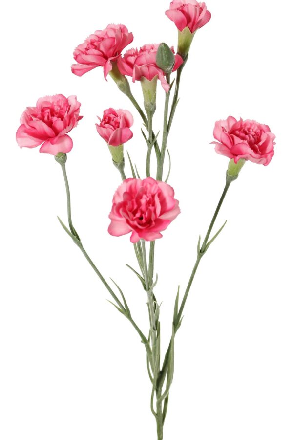 Anjer roze -H63 cm
