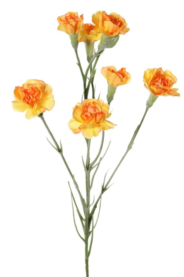 Anjer oranje -H63cm