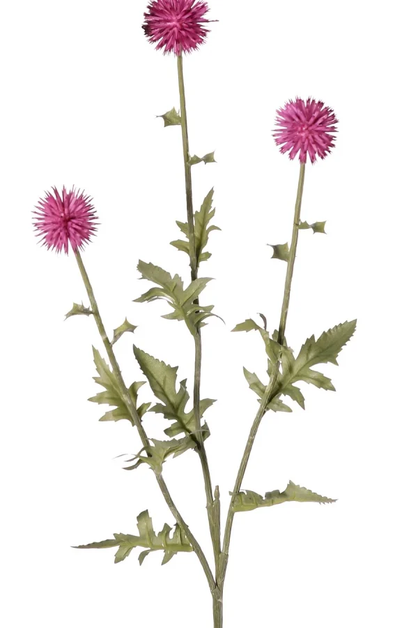 Kogeldistel paars - H76 cm