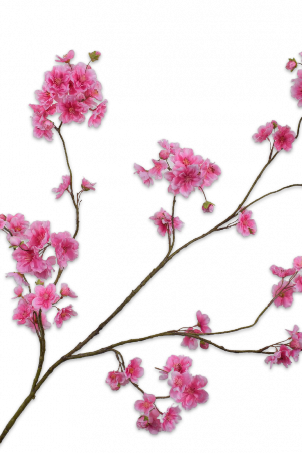 silkka roze bloesemtak