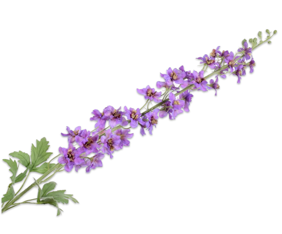delphinium silk-ka
