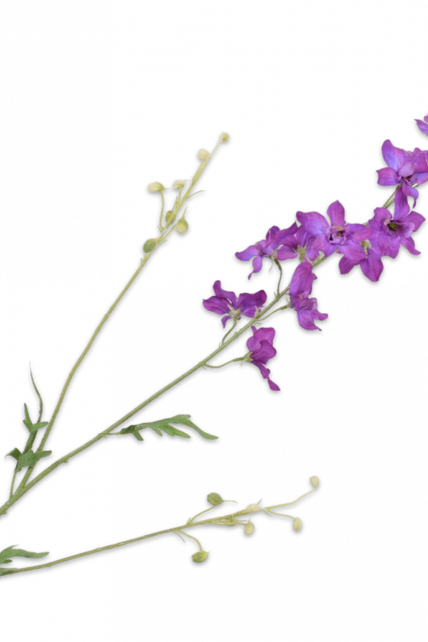 Zijden delphinium bloem