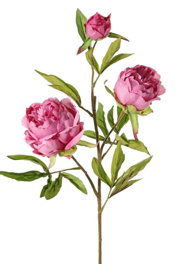 Pioenroos 3 bloemig oud roze H73 cm