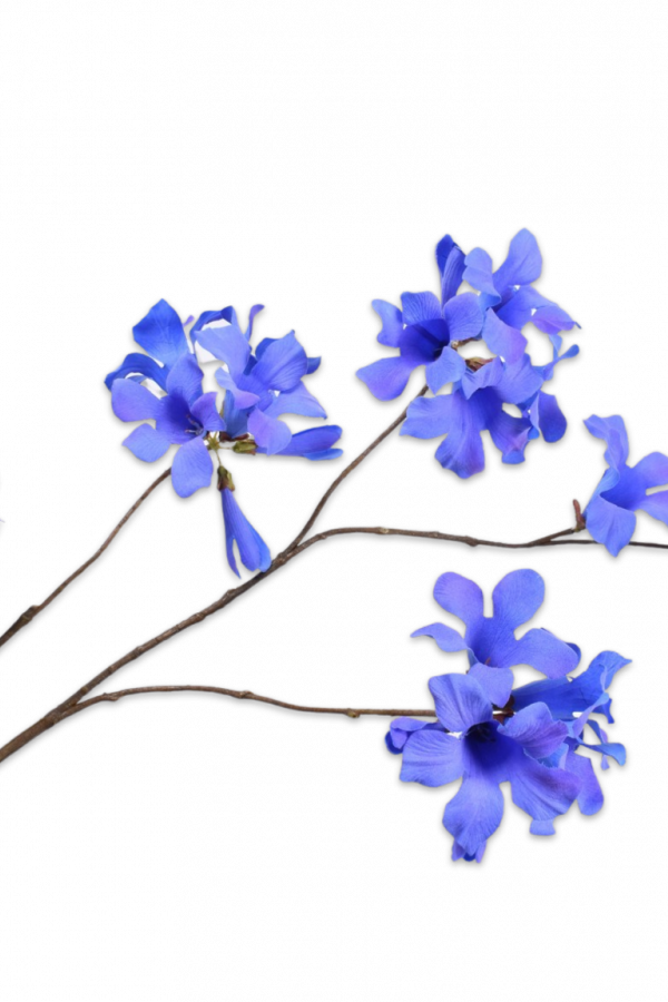 mandevilla tak silka