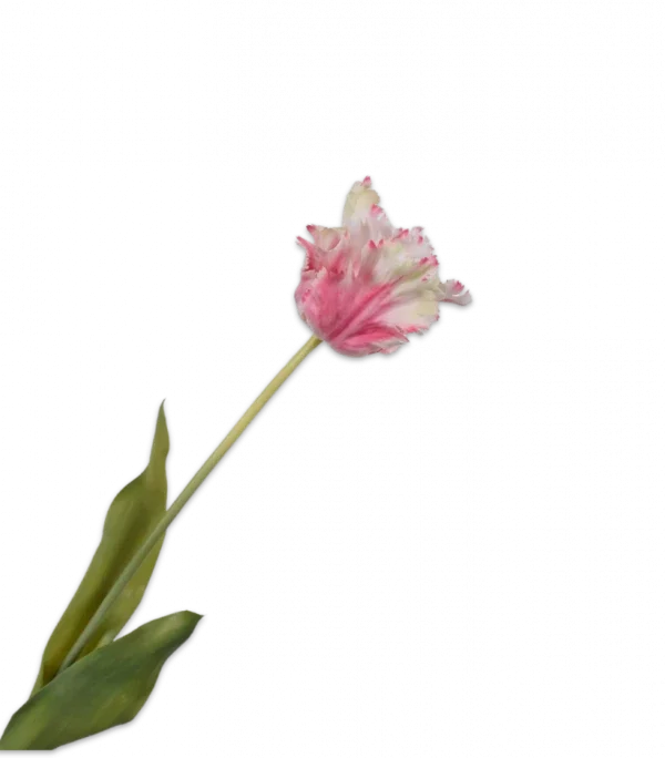 Roze witte tulp – Silk-ka Real Touch – H71 cm