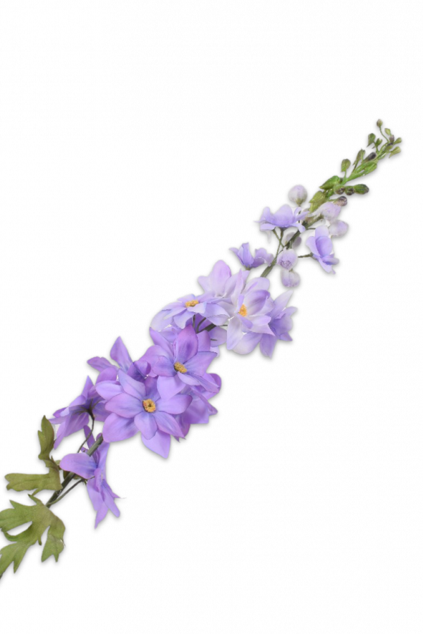 delphinium ridderspoor silkka