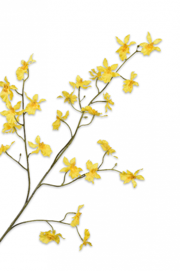 zijden orchidee