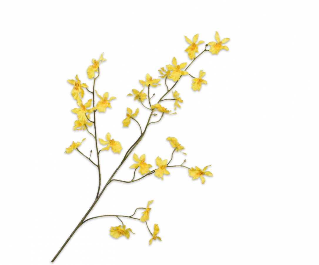 zijden orchidee