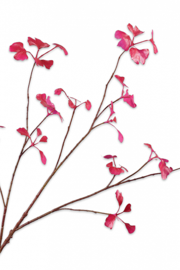 Shiny tak roze - H96 cm