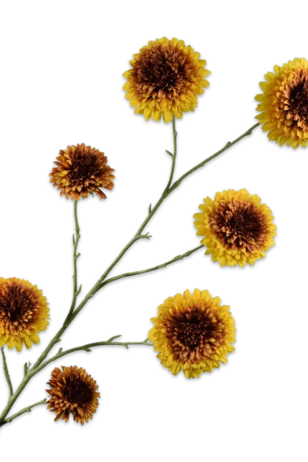 zonnebloem tak