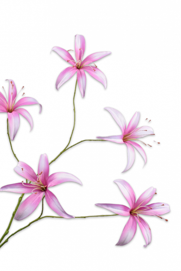 Lelie tak roze Silk-ka - H113 cm