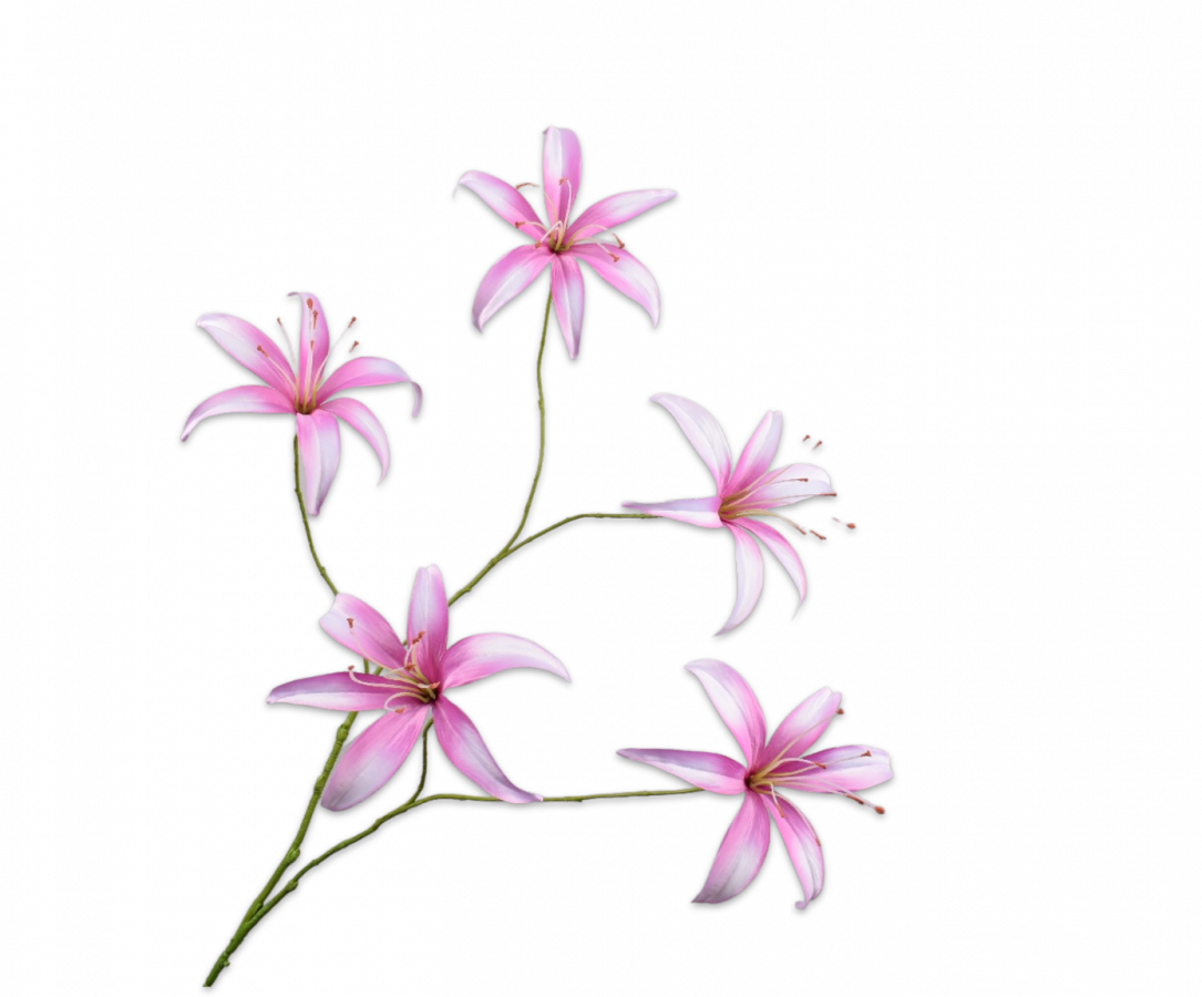 Lelie tak roze Silk-ka - H113 cm