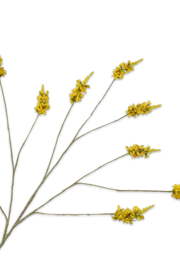 gele forsythia tak