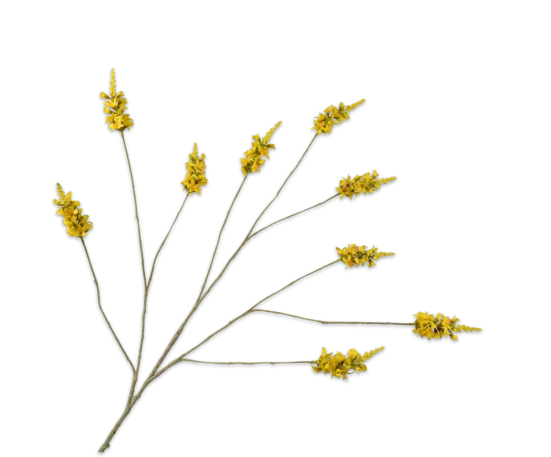 gele forsythia tak