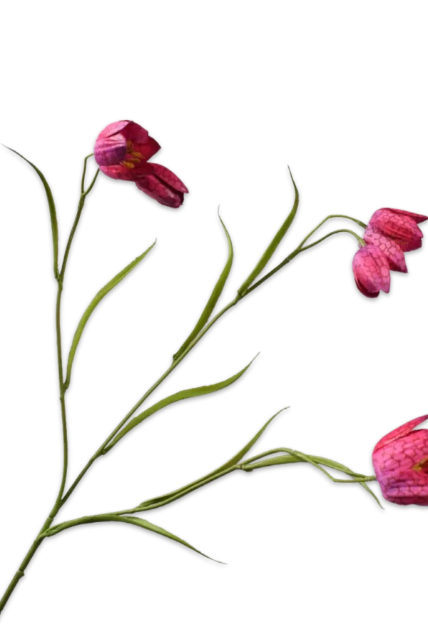 Kievitsbloem fritillaria roze - Silk-ka - H64 cm