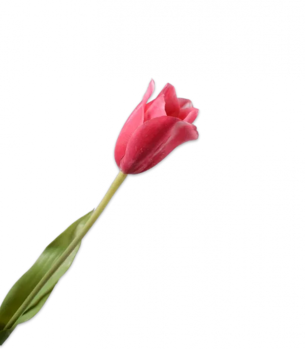 Roze tulp – Silk-ka Real Touch – H72 cm