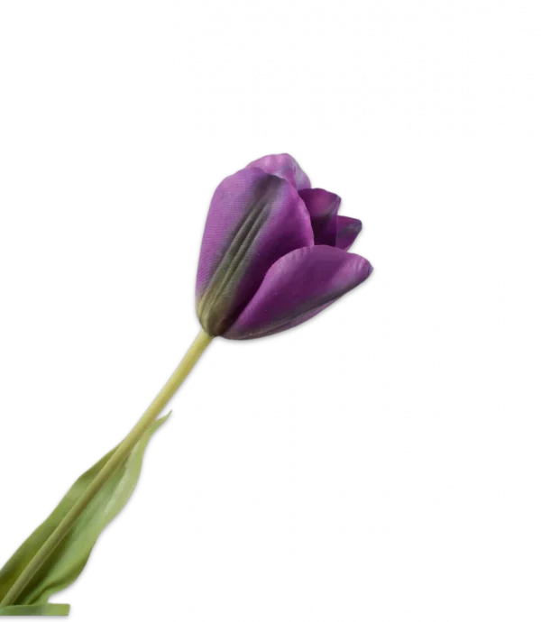 Paarse tulp – Silk-ka Real Touch – H72 cm