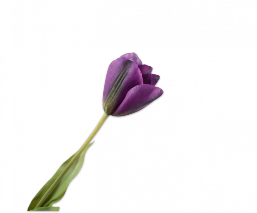 Paarse tulp – Silk-ka Real Touch – H72 cm