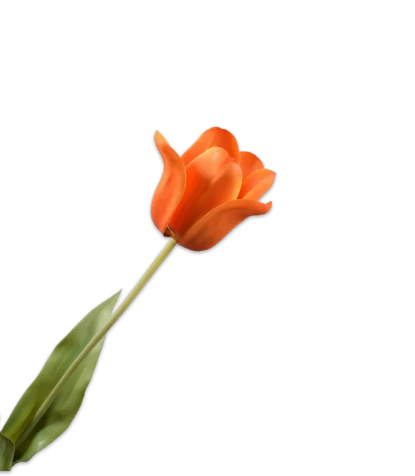 Oranje tulp Silk-ka Real Touch H71 cm