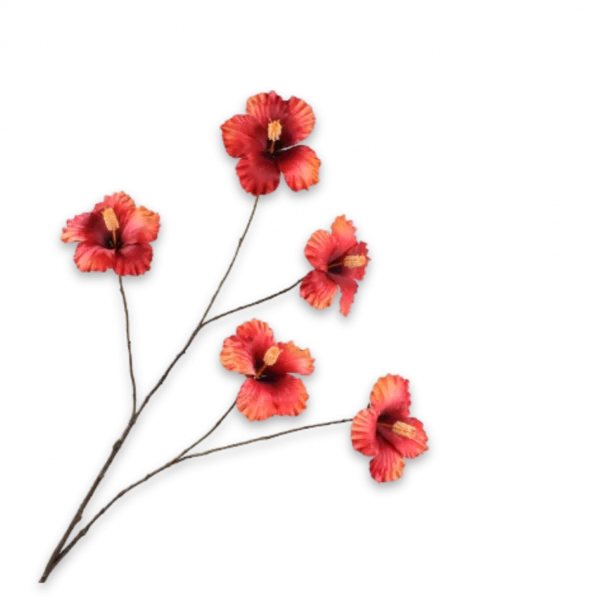 Hibiscus oranje Silk-ka - H108 cm