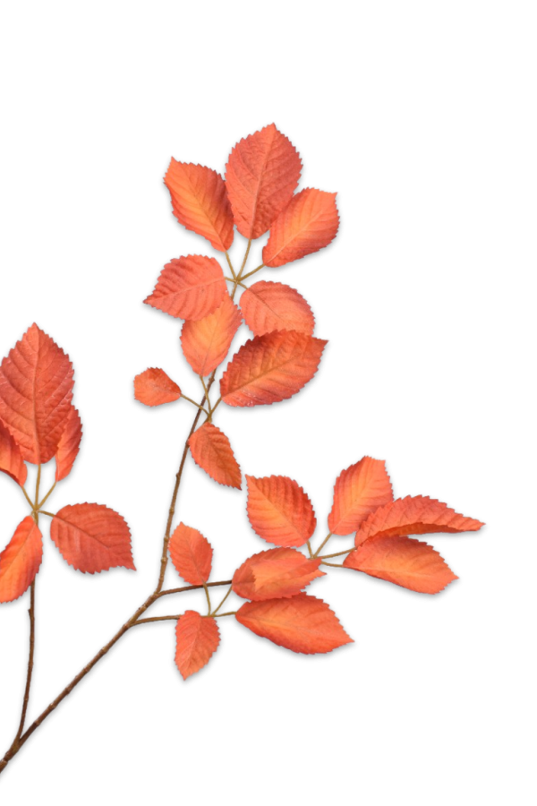 Bladtak oranje 74 cm