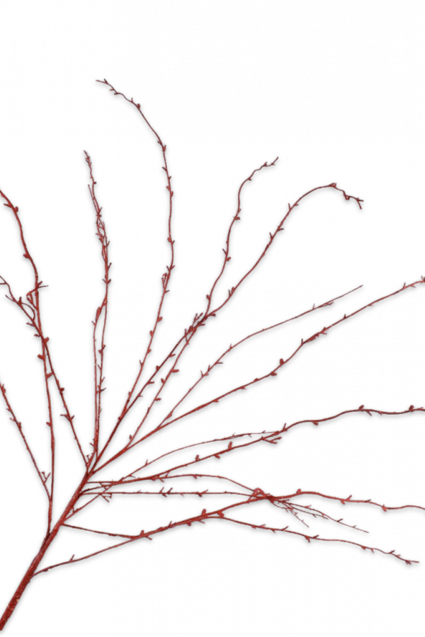 Brem tak rood Silk-ka H140 cm