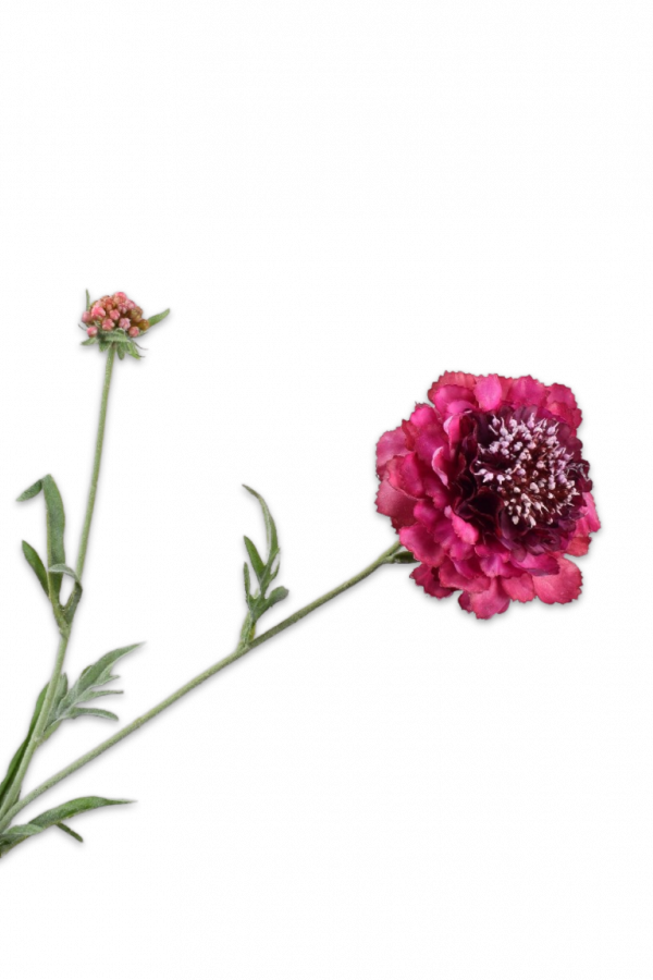scabiosa real touch silkka