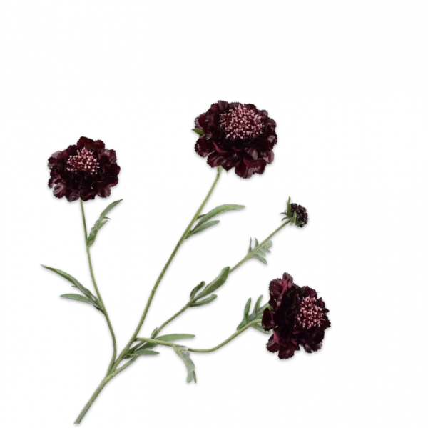 Scabiosa tak paars Silk-ka Real Touch- H80 cm