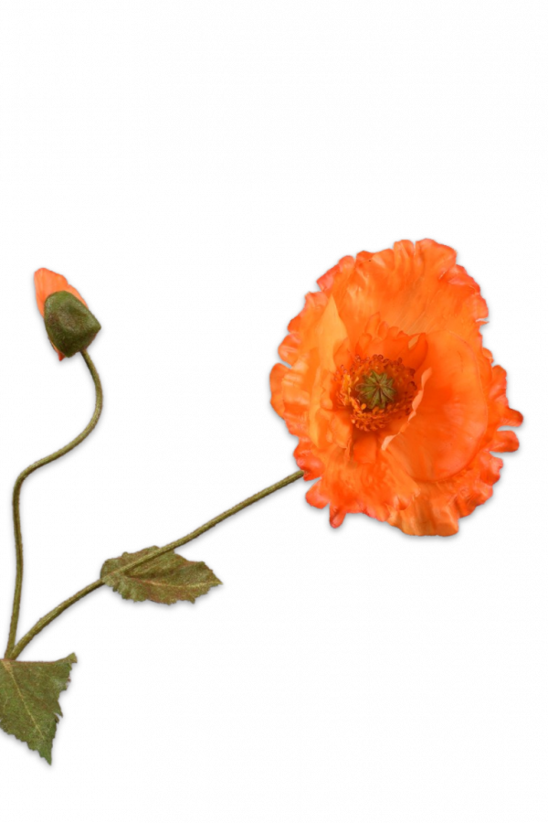 Klaproos tak oranje- H67 cm