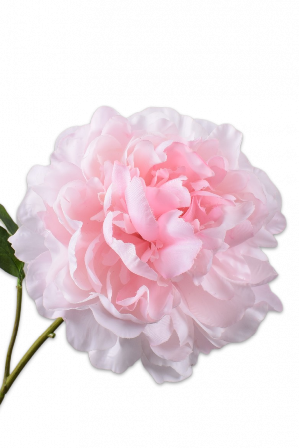 Pioen roze Silk-ka Real Touch - H57 cm