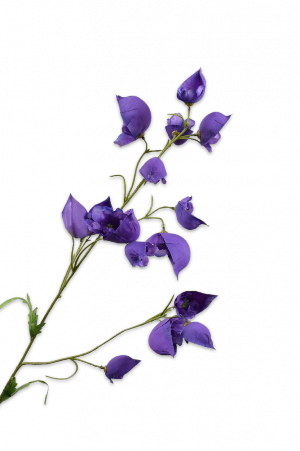delphinium paars