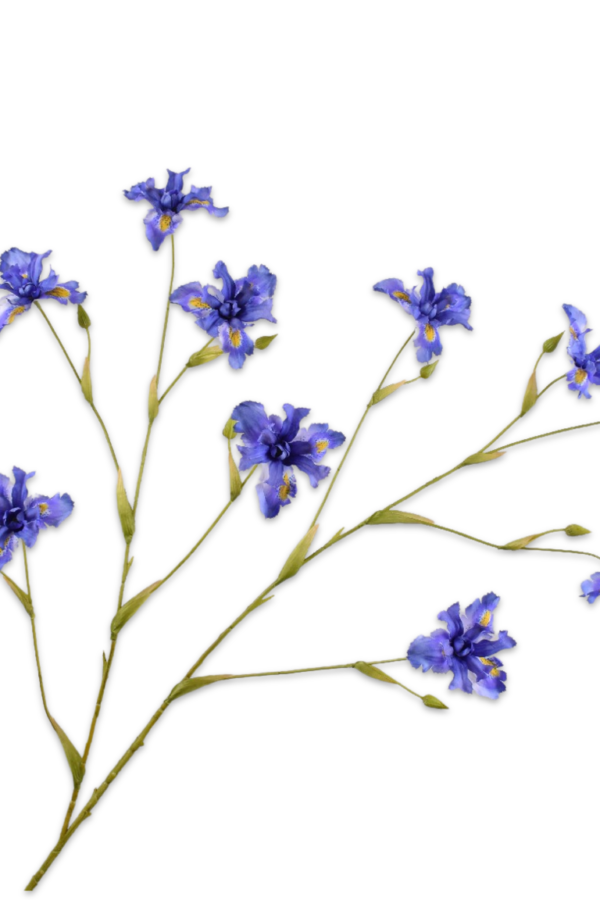 zijden iris
