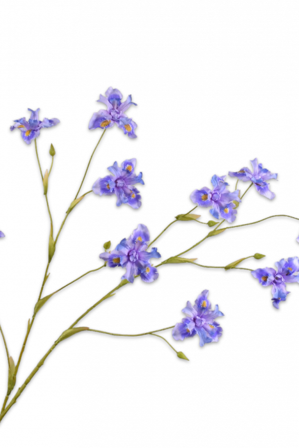 zijden iris silkka