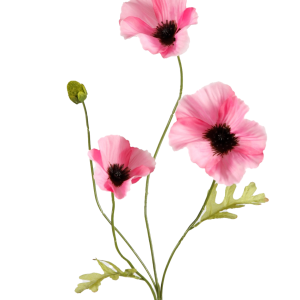 Klaproosje roze - H63 cm