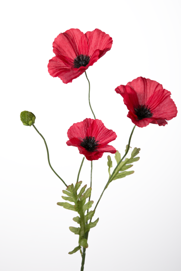 Klaproosje rood - H63 cm