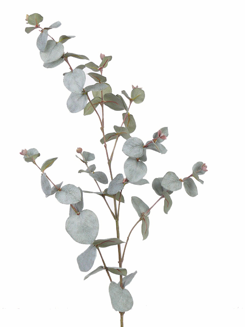 Eucalyptustak grijs groen - H86 cm