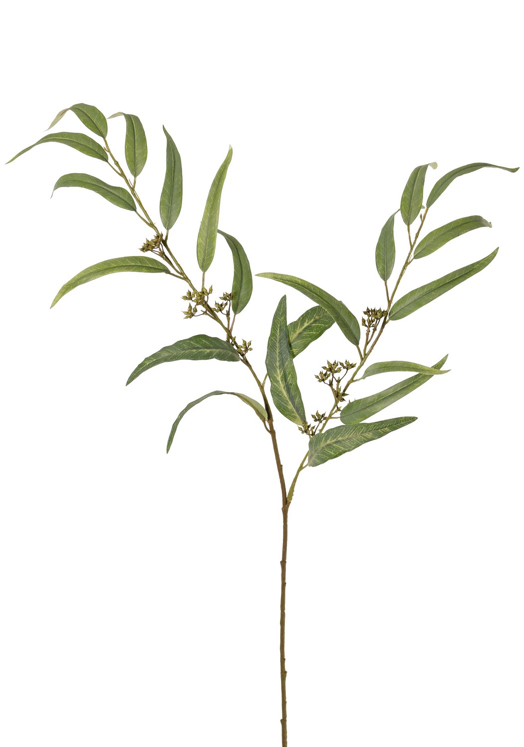 Eucalyptus tak groen -H91 cm