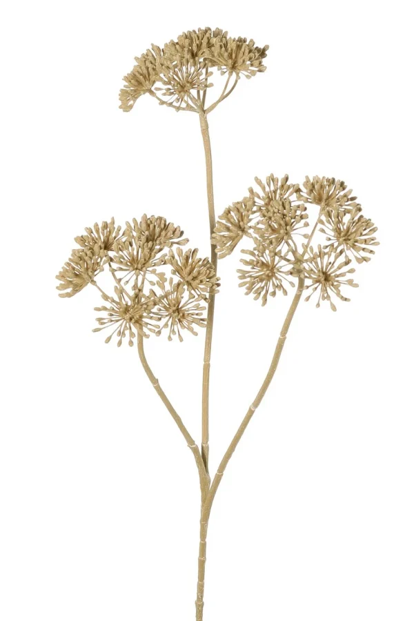 Berenklauw beige - H83 cm