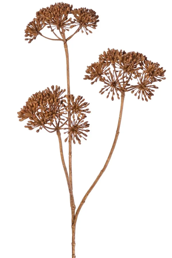 Berenklauw bruin - H83 cm