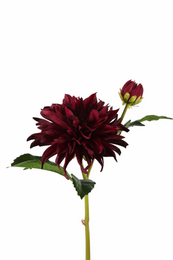 Dahlia spray donker rood 75 cm